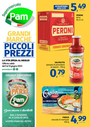 Volantino Pam RetailPro a Marcianise | Grandi Marche, Piccoli Prezzi | 3/6/2023 - 12/6/2023