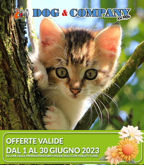 Offerte di Animali a Ferrara | Offerte valide dal 1 al 30 giugno 2023! in Dog & Company | 1/6/2023 - 30/6/2023