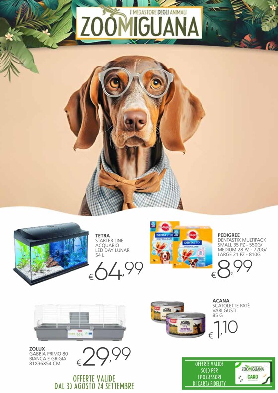 Volantino Zoomiguana | Offerte valide dal 30 agosto 24 settembre | 30/8/2023 - 24/9/2023