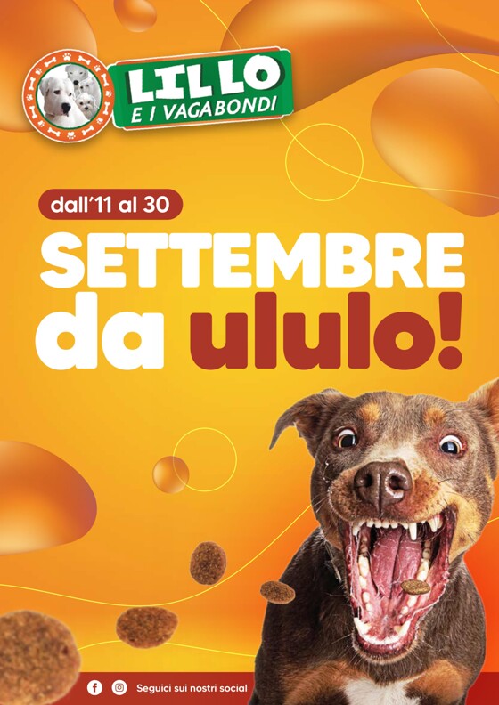 Volantino Lillo e i Vagabondi a Gioia del Colle | Settembre da ululo | 11/9/2023 - 30/9/2023