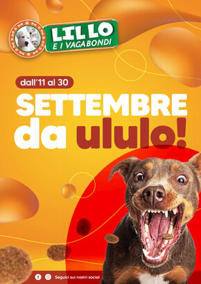 Offerte di Animali a Trani | Settembre da ululo in Lillo e i Vagabondi | 11/9/2023 - 30/9/2023