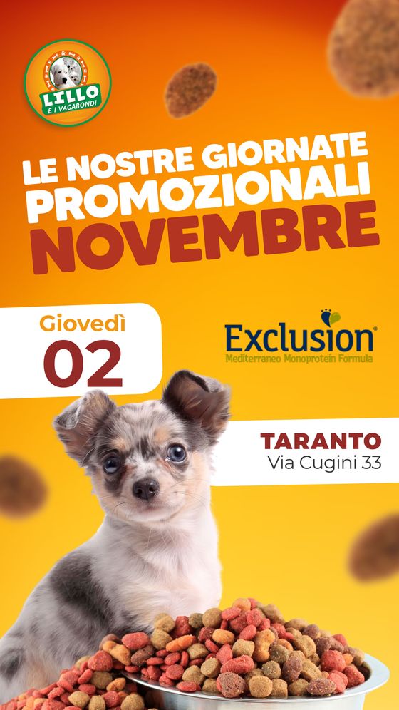 Volantino Lillo e i Vagabondi a Taranto | LE NOSTRE GIORNATE PROMOZIONALI | 9/11/2023 - 30/11/2023