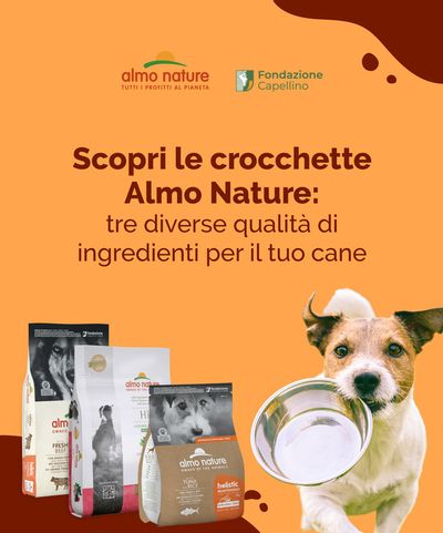 Offerte di Animali a Matera | Crocchette cane in Almo Nature | 27/11/2023 - 17/12/2023