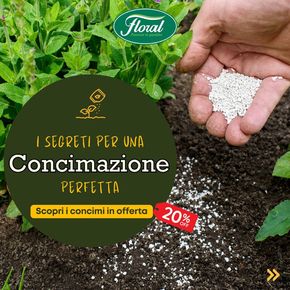 Offerte di Bricolage a Palermo | I secreti per una concimazione perfetta in Floral Garden | 2/2/2024 - 29/2/2024