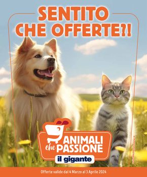 Offerte di Animali a Magenta | Animali che passione in Il Gigante | 4/3/2024 - 3/4/2024