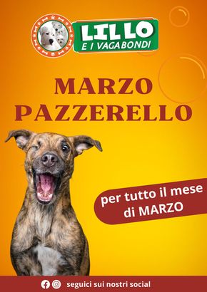 Offerte di Animali a Taranto | Marzo pazzerello in Lillo e i Vagabondi | 8/3/2024 - 31/3/2024