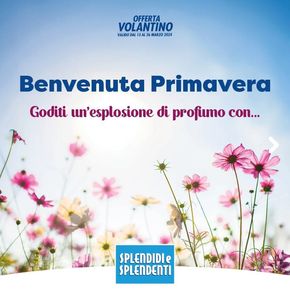 Volantino Splendidi e Splendenti a Gioia Tauro | Benvenuta primavera | 21/3/2024 - 10/4/2024
