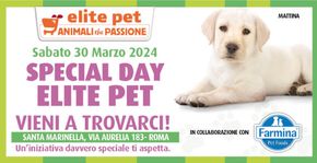 Offerte di Animali a Civitavecchia | Special day  in Elite Pet | 26/3/2024 - 30/3/2024