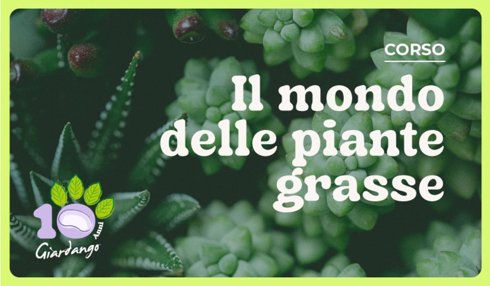 Volantino Giardango a Carimate | Il mondo delle piante grasse | 8/4/2024 - 15/6/2024