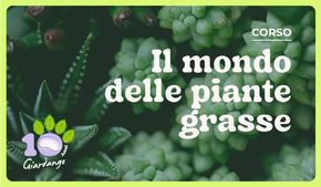 Offerte di Bricolage a Lomazzo | Il mondo delle piante grasse in Giardango | 8/4/2024 - 15/6/2024