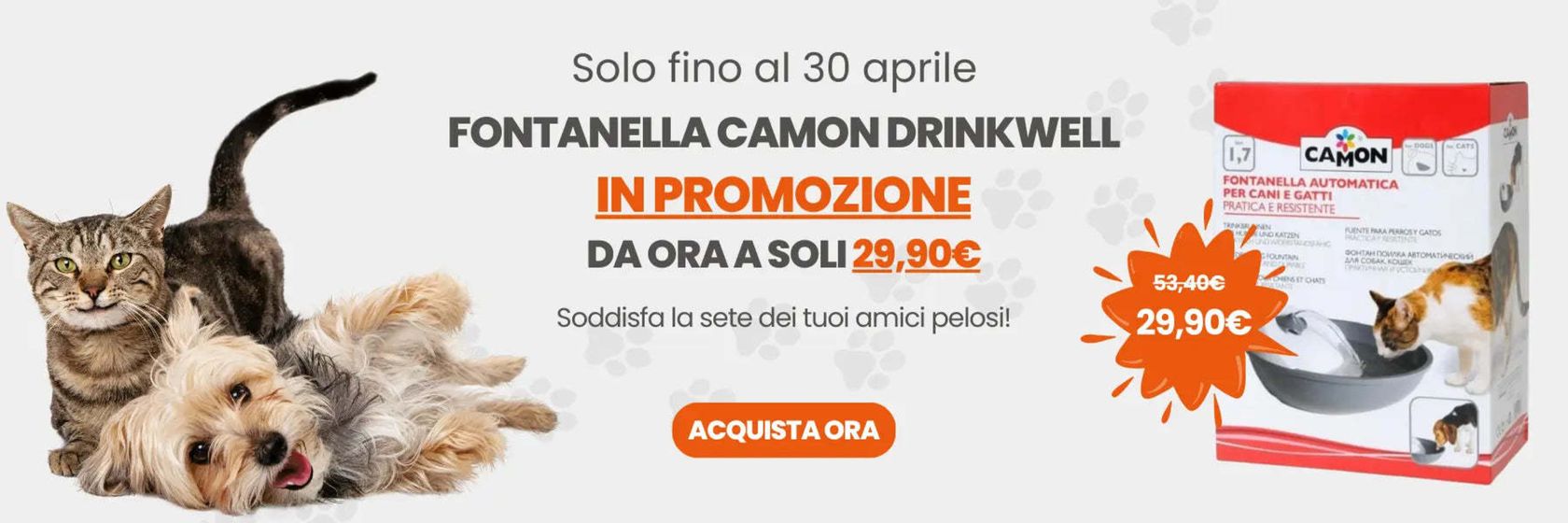 Volantino Animalmania a Roma | Fontanella camon drinkwell | 11/4/2024 - 30/4/2024