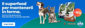 Offerte di Animali a Settecamini | Il superfood per mantenerli in forma in Animalmania | 23/4/2024 - 28/4/2024