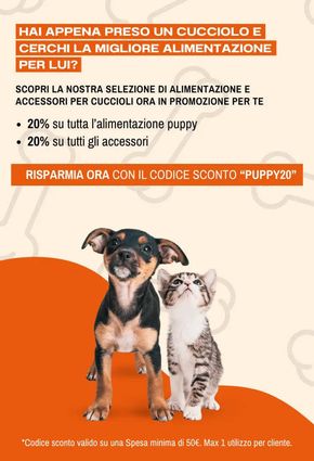 Offerte di Animali a Ostia | Risparmia ora in Animalmania | 2/5/2024 - 31/5/2024