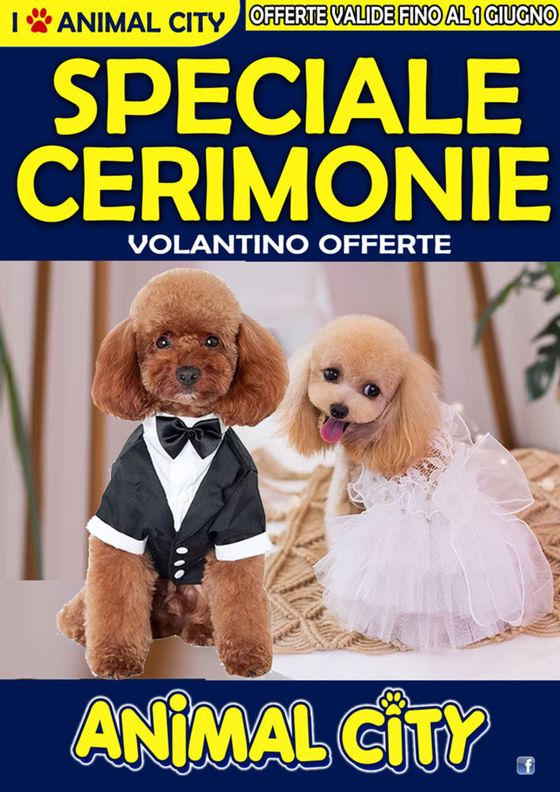 Volantino Animal City | Speciale cerimonie | 13/5/2024 - 1/6/2024
