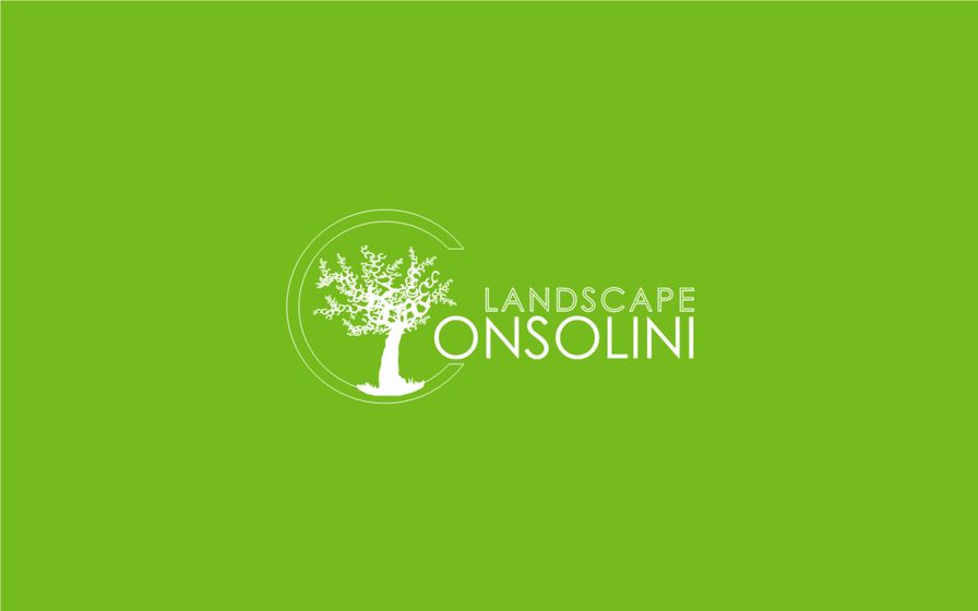 Volantino Consolini Landscape | Catalogo | 17/5/2024 - 31/5/2024