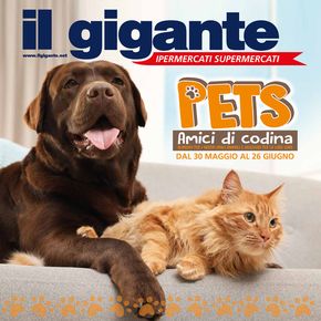 Offerte di Animali a Andorno Micca | Pets in Il Gigante | 30/5/2024 - 26/6/2024