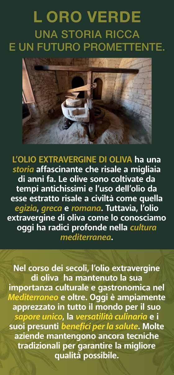 Volantino Dok a Potenza | Olio extravergine di oliva | 28/5/2024 - 8/6/2024