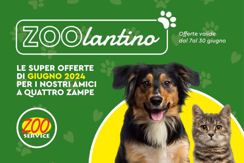 Volantino Zoo Service a Trapani | Le super offerte di Giugno 2024 | 7/6/2024 - 30/6/2024