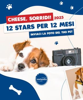 Offerte di Animali a Rozzano | Cheese, sorridi! in Zoolandia Megastore | 9/7/2024 - 27/7/2024