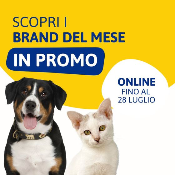 Volantino L'Ora degli Animali | Scorpi i brand del mese in promo | 9/7/2024 - 28/7/2024