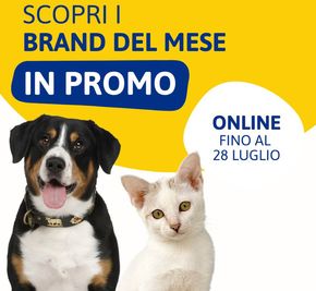 Offerte di Animali a Bologna | Scorpi i brand del mese in promo in L'Ora degli Animali | 9/7/2024 - 28/7/2024