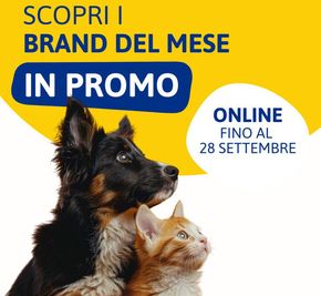 Offerte di Animali a Montale (Modena) | Offerte in L'Ora degli Animali | 9/9/2024 - 28/9/2024