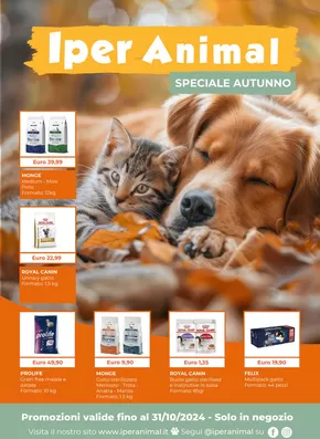 Offerte di Animali a Jerago con Orago | Speciale autunno in Iper Animal | 1/10/2024 - 31/10/2024