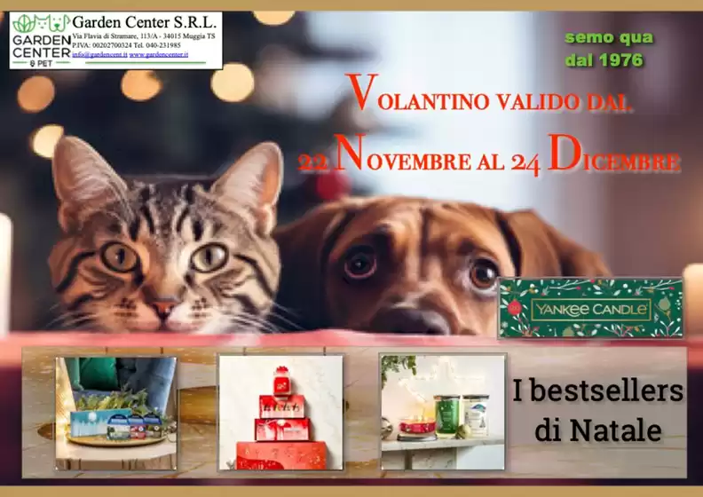 Volantino Garden Center a Trieste | I bestsellers di Natale | 15/10/2024 - 24/12/2024