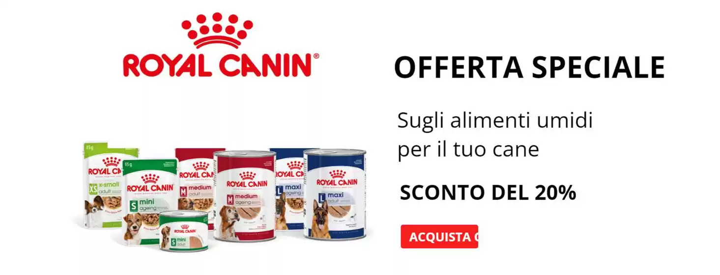 Volantino L'Ora degli Animali a Firenze | Offerta speciale | 28/10/2024 - 31/12/2024