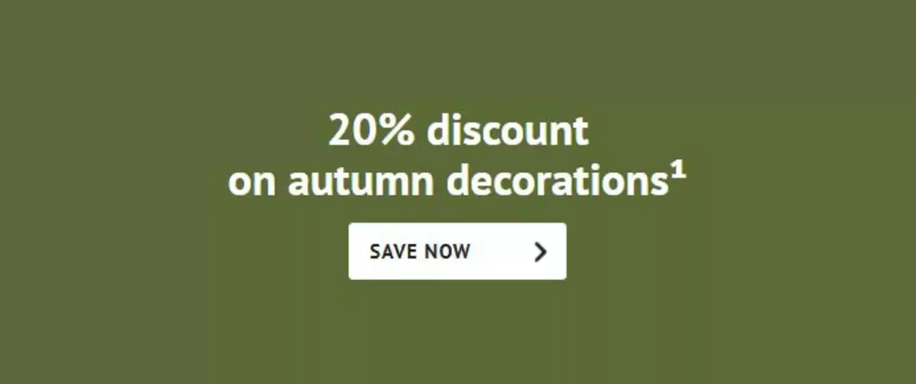 Volantino NKD a Roma | 20% discount on autumn | 1/11/2024 - 22/11/2024