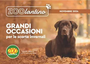 Volantino Zoo Service | Grandi occasioni | 4/11/2024 - 30/11/2024