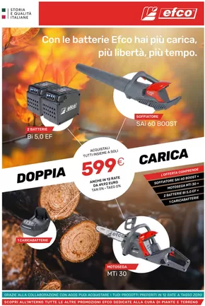 Offerte di Bricolage a Roccafluvione | Con le batterie Efco hai piu carica ,piu liberta,piu tempo. in Efco | 5/11/2024 - 14/2/2025