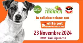 Offerte di Animali a Castel Romano | Elite Pet in Elite Pet | 6/11/2024 - 23/11/2024