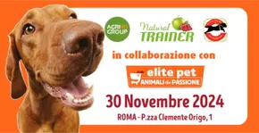 Volantino Elite Pet a Roma | Elite Pet | 6/11/2024 - 30/11/2024