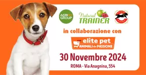 Offerte di Animali a Frascati | Elite Pet in Elite Pet | 6/11/2024 - 30/11/2024