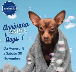 Offerte di Animali a Pavia | Da venerdi 8 a sabato 30 novembre in Zoolandia Megastore | 7/11/2024 - 30/11/2024