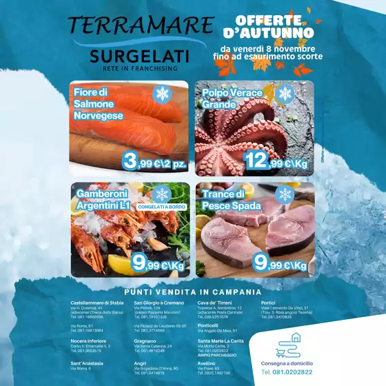 Volantino Terramare Surgelati a Reggio Emilia | Offerte da brividi | 8/11/2024 - 30/11/2024