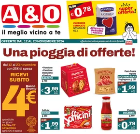 Volantino A&O a Napoli | Una pioggia di offerte! | 12/11/2024 - 23/11/2024