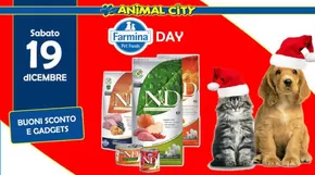 Volantino Animal City a Cassino | Buoni sconto e Gadgets | 13/11/2024 - 19/12/2024