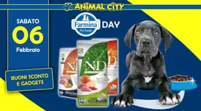 Offerte di Animali a Cassino | Buoni sconto e Gadgets in Animal City | 13/11/2024 - 6/2/2025