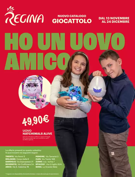 Volantino Regina Grandi Magazzini a Sona | Ho un uovo amico | 14/11/2024 - 24/12/2024