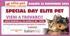 Offerte di Animali a Civitavecchia | Special day  in Elite Pet | 19/11/2024 - 23/11/2024