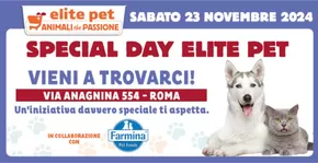 Offerte di Animali a Ariccia | Special day  in Elite Pet | 19/11/2024 - 23/11/2024