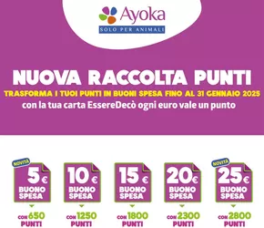 Volantino Ayoka | Nuova raccolta punti | 20/11/2024 - 31/1/2025