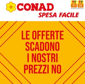 Offerte di Iper e super a Solesino | Le offerte scadono i nostri prezzi no in Spesa Facile | 1/12/2024 - 31/12/2024