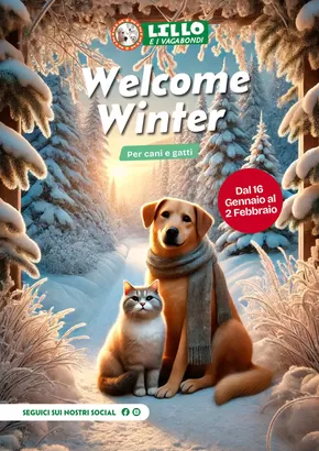 Offerte di Animali a San Severo | Welcome winter in Lillo e i Vagabondi | 15/1/2025 - 2/2/2025