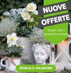 Offerte di Bricolage a Chiari | Nuove Offerte in Giardineria | 28/1/2025 - 16/2/2025