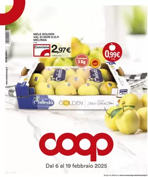 Volantino Coop a Borgaro Torinese | Grandi marche - sconto 30% 40% 50% | 6/2/2025 - 19/2/2025