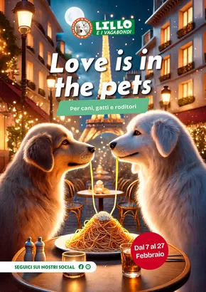 Offerte di Animali a Ceglie Messapica | Love is in the pets in Lillo e i Vagabondi | 6/2/2025 - 27/2/2025