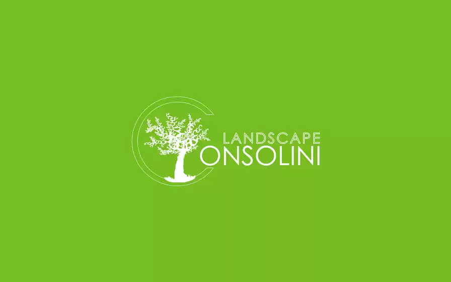 Volantino Consolini Landscape a Bardolino | Catalogo  | 12/2/2025 - 31/12/2025